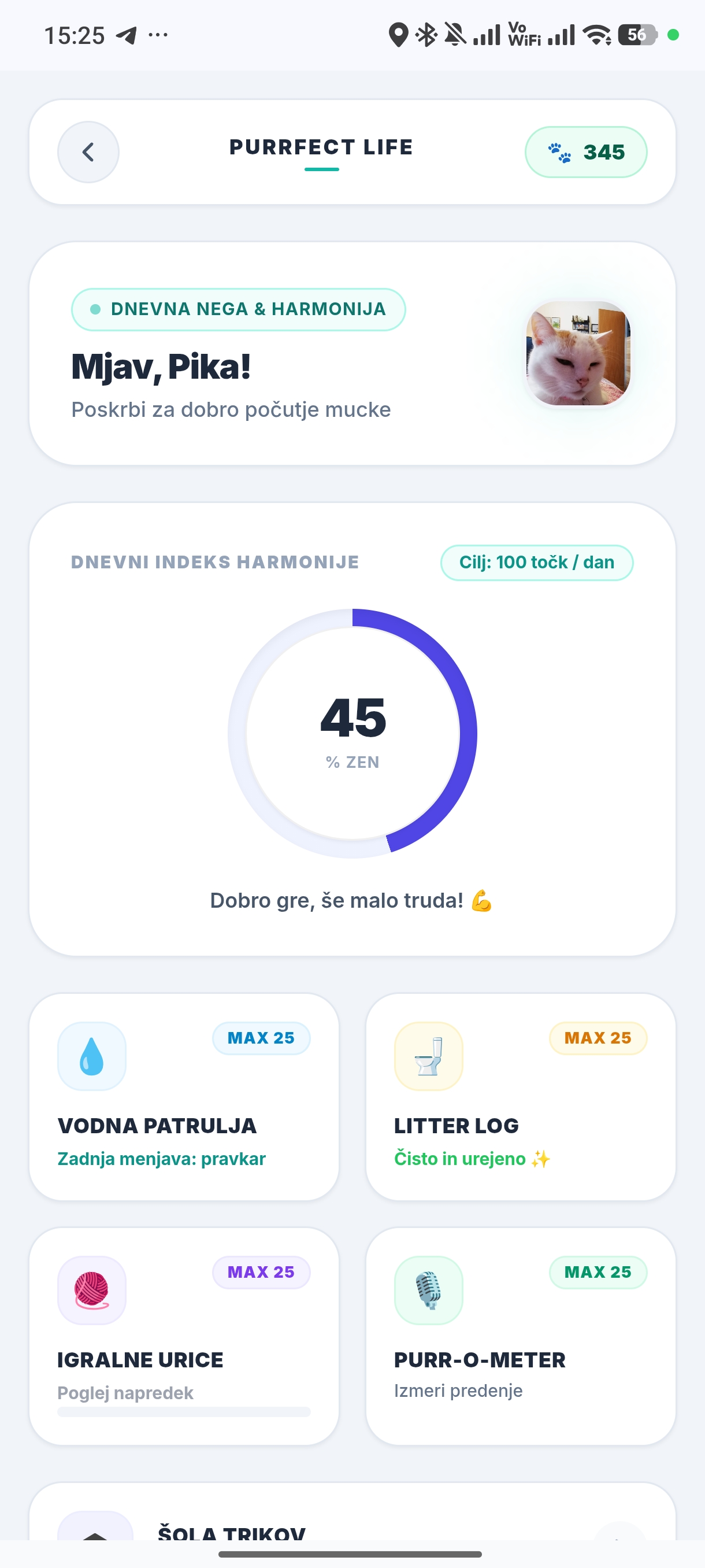 WoodyDoo aplikacija – Purrfect Life
