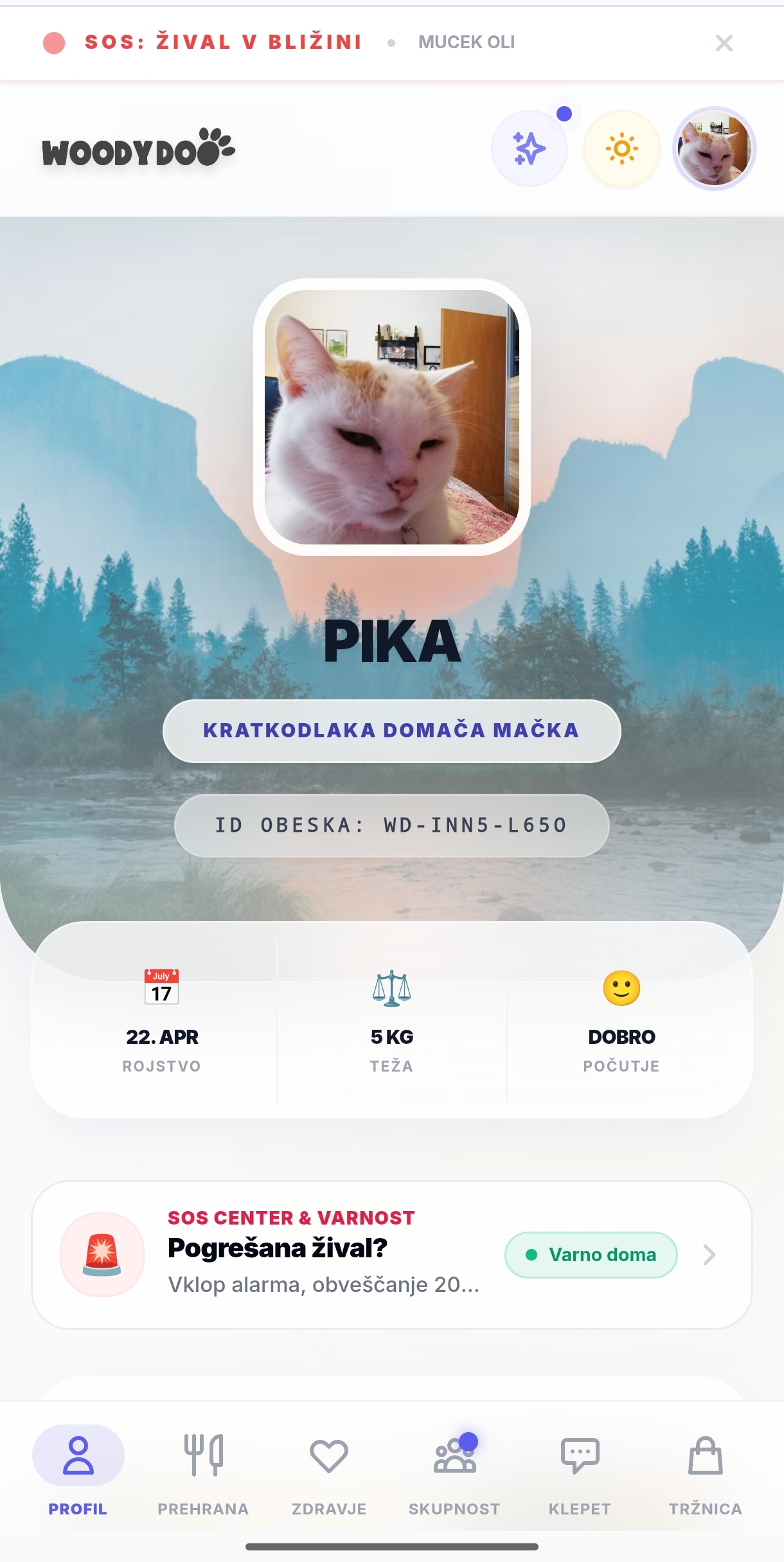 WoodyDoo – profil ljubljenčka Pika